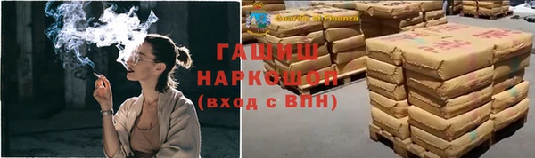 сатива Аркадак
