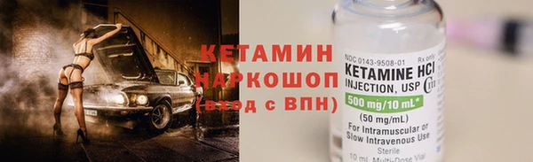 сатива Аркадак