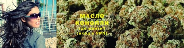 сатива Аркадак